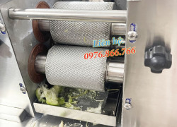 MÁY ÉP MÍA MINI FM800 TẤN PHÁT - MÁY NƯỚC MÍA GIA ĐÌNH NHỎ GỌN CÓ ĐIỆN 110V - SUGARCANE MACHINE TAN PHAT