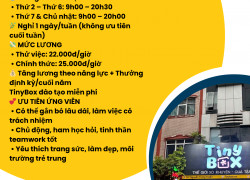 TINYBOX XỎ KHUYÊN TÌM ĐỒNG ĐỘI NỮ FULL-TIME