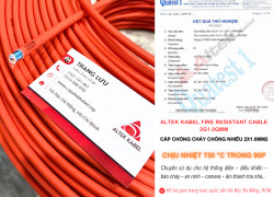 Cáp Chống Cháy Chống Nhiễu 2x1.0 Đà Nẵng, Bình Định, Huế, Lâm Đồng