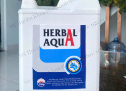 HERBAL AQUA - gan tạt thảo dược