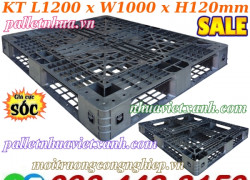 Pallet nhựa xuất khẩu 1200x1000x120mm màu đen