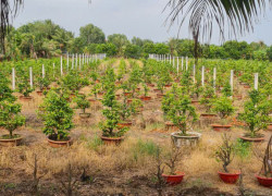 BÁN ĐẤT MẶT TIỀN KÊNH 8 – XÃ BÌNH LỢI, BÌNH CHÁNH