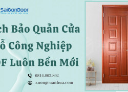 Cách Bảo Quản Cửa Gỗ Công Nghiệp HDF Luôn Bền Mới