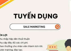 CTY TL ONLINE SALES Tuyển NV marketing sales làm Hoài Đức Hà Nội