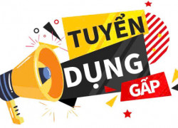 Tuyển thợ phụ kho & Thợ phụ sản xuất làm tại Long An