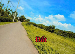 SỞ HỮU NGAY LÔ ĐẤT XÃ KIM LONG – TP.HCM MỚI (Châu Đức cũ, Bà Rịa - Vũng Tàu)