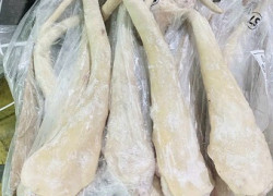 Đuôi trâu đông lạnh nhập khẩu – Giá rẻ tận gốc, cam kết chất lượng