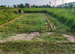 *CHÍNH CHỦ CẦN BÁN GẤP LÔ ĐẤT GIÁ RẺ NGAY XÃ TÂN LÂN, CẦN ĐƯỚC, LONG AN