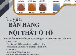 TUYỂN NHÂN VIÊN BÁN HÀNG NỘI THẤT Ô TÔ