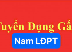 CTY BAO BÌ TÂN THUẬN TIẾN tuyển NAM LĐPT làm tại Bình Tân