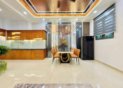Nhà mới đẹp Tân Hưng – hẻm xe hơi tránh nhau, 4x14m, giá chỉ 6.7 tỷ