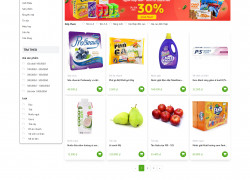 Thiết kế website đầy đủ các loại