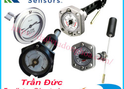 Đồng hồ đo mức Rochester | Rochester Sensors