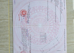 BÁN ĐẤT TRỒNG CÂY LÂU NĂM XÃ TÂN AN HỘI, H. CỦ CHI, HỒ CHÍ MINH