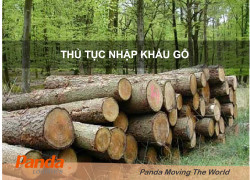 Quy Trình Khai Báo Nhập Khẩu Gỗ