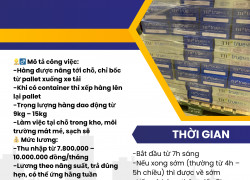 TUYỂN NHÂN VIÊN BỐC XẾP – LÀM VIỆC TẠI BẾN LỨC, LONG AN