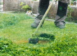 Cắt cỏ – phát hoang chuyên nghiệp tại Đồng Nai 2025