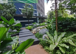 BẢO DƯỠNG CẢNH QUAN VĂN PHÒNG BIÊN HÒA ĐỒNG NAI