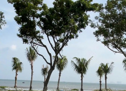 CẦN BÁN MẶT TIỀN BIỂN  ĐƯỜNG HOÀNG SA – KHU PHỨC HỢP ĐÔ THỊ DỊCH VỤ THƯƠNG MẠI CAO TẦNG - SƠN TRÀ - ĐÀ NẴNG