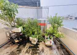 BÁN NHÀ MẶT TIỀN ĐƯỜNG SỐ  – P. TAM PHÚ, TP. THỦ ĐỨC – GIÁ CHỈ 5 TỶ