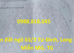 Đất ngõ 63 Tư Đình, phường Long Biên, thành phố Hà Nội, 229m2, đường ô tô tránh, miễn TG