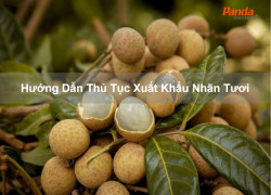 Hướng Dẫn Thủ Tục Xuất Khẩu Nhãn Tươi