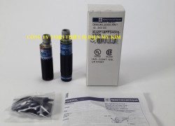 Công tắc hành trình Telemecanique XMLB035A2C11