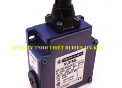 Công tắc hành trình Telemecanique XCKML102H29
