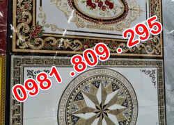 Thảm gạch nát nền phòng khách