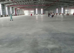 CHO THUÊ NHÀ XƯỞNG Tại KCN VSIP TỪ SƠN. BẮC NINH