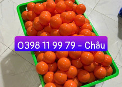 Banh nhựa khu vui chơi