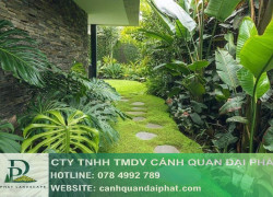 Chăm sóc cảnh quan trọn gói 2025 tại Đồng Nai – Giữ mãi vẻ đẹp thiên nhiên