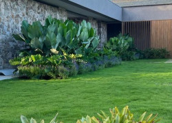 Cung Cấp Và Thi Công Cỏ Nhung Nhật Tại TP.HCM – Đồng Nai | Cỏ Xanh Mịn, Bền Đẹp Cho Sân Vườn