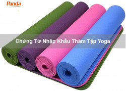 Chứng Từ Nhập Khẩu Thảm Tập Yoga