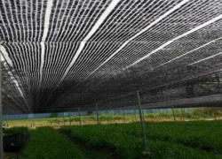 Bạn cần lưới che nắng cho các công trình nhà vườn, trang trại....