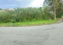 Bán nhanh 390m2 đất full thổ gần KDC Hoàng Long, Bến Lức – SHR – Đường xe hơi – giá 14tr/m2