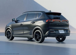 Nerio Green ông hoàng dịch vụ - ưu đãi giảm giá cực khủng