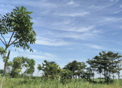 Bán đất công 1100m2 đất, cách Phà Cát lái chỉ 3,5km, phú Huux, Nhơn Trạch,Đồng Nai