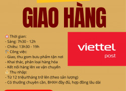 VIETTELPOST TÂY THẠNH Tuyển Nhân viên tuyến nhận hàng