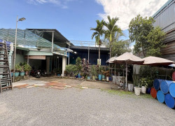 Nhà Mặt tiền + Xưởng SHR Đ.10m 1242m2 – Thới Tam Thôn 6 Hóc Môn