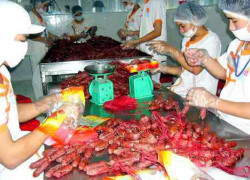 Tuyển 20 công nhân chế biến & đóng gói lạp xưởng làm Bình Thạnh