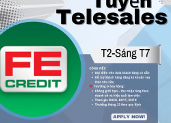 FE CREDIT –TUYỂN DỤNG NHÂN VIÊN TƯ VẤN TÀI CHÍNH (TELESALES)