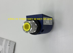 Cảm biến Telemecanique XMLR250M1P25