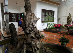 Bán nhà riêng tại đại la thanh lương hai bà trưng hà nội 124 triệu 193m2