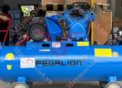 Máy nén khí có dầu Pegalion 120L TM-W-0.36/8 giá rẻ