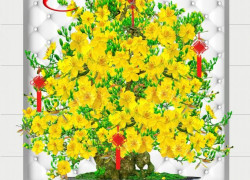 Tranh gạch 3d cây mai vàng - ZXC33