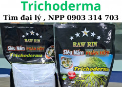 Trichoderma raw rin / siêu nấm phân hủy bổ sung 9 tỷ bào tử