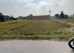 Đất DT lớn 15x25 full thổ giá 4.2 tỷ thương lượng