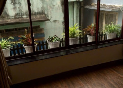 Bán nhà Đặng Văn Ngữ full công năng, 3PN, nhỉnh 6 tỷ.