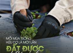 Sản phẩm tự nhiên, cho cuộc sống an yên - G.Organic